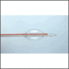 In-Hospital Continence